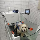 눈보뛰 프리미엄 이미지