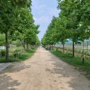 이문안호수공원 이미지