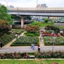 장미공원 화장실 이미지