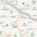 남성크로커다일신현점