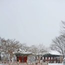 서산대사(西山大師)-踏雪野中去(답설야중거) / 눈 내린 들판을 걸을 때에는 어지러이 걷지 말라 오늘...