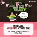 건강꿀단지