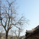 돌담길 이미지