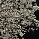 달빛에 구운 고등어(모현점) | 달빛에구운고등어 모현점: 익산 집밥 맛집/ 주꾸미 무침(달빛반상)후기