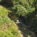 양화목장 이미지