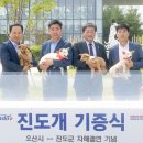 우정진도개 이미지