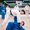 배움유도장 이미지