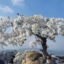 성불사 약수터 | 관악산 산행후기