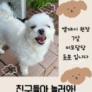 더엠제이샵 네이버블로그