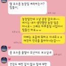 수락작은도서관 | [ Australia Working Holiday ~152 🚨 Mackay ⚡️BYE 🍅]