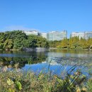 일산호수공원 이미지