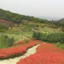 영인산수목원 중부매일