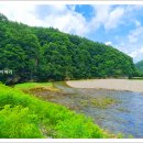 탄지축산 네이버블로그