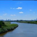 도그아일랜드 이미지