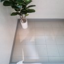 카렌시아워시 이미지