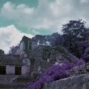 내 안에 시를 담다 이미지