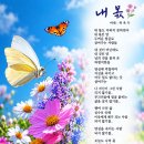 내 몫 이미지