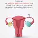 정산부인과의원 이미지