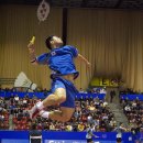 정재성 카카오 검색결과