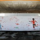 제주월드컵경기장 천연잔디구장 이미지