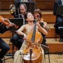 첼로(초등학교 1~6학년) 이미지