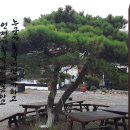 경초루