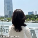 센트럴파크 7 | 송도 미용실 추천 아이디헤어 송도센트럴파크점 유리디자이너 염색 솔직후기