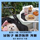 남동64 | 인천 만수동카페 빌리 애견동반 강아지운동장 후기