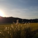 보람할인마트 이미지