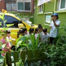 텃밭협동조합 이미지