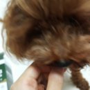 아이앤지소프트 이미지