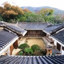 푸른비 이미지