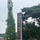강화도 당일치기 캠핑 ‘별빛숲캠핑바베큐’ 내돈내산 후기
