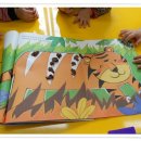 꼭꼭 숨어라 동물들아 이미지