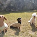 박순호의 아이슬란드 이미지