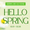에넥스스토어 이미지