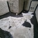 로얄맨션3차 이미지