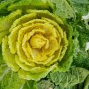 이명희농장 이미지