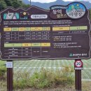 언양 가볼만한곳 등억알프스야영장 카라반 후기