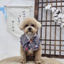 지개동산 이미지
