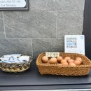 하운드 순천역점 이미지