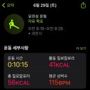 관문체육공원 내 | [러닝] 새 안정화신고 트랙러닝(TT), 과천관문체육공원 양재천러너스 토요정기런