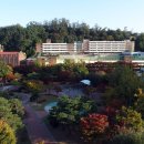 재궁공원 이미지