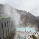 리솜포레스트 해브나인스파 이용후기.! (가족모임, 효도여추천) // HAVE9 SPA