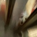 대박짐 복싱 | 진짜 복싱후기임 나는 복린이다.
