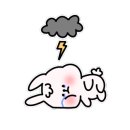 더퍼니서프 이미지