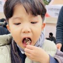 리즈파마 이미지