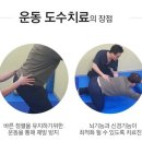 조은운동 이미지