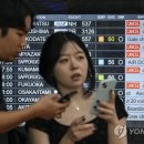샨샨 이미지