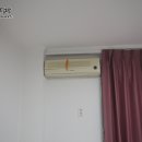 벨라유나 이미지